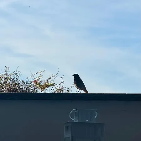 Lejlighed Mansarda Accogliente In Ottima Posizione Vercelli