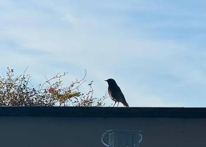 Appartement Mansarda Accogliente In Ottima Posizione Vercelli